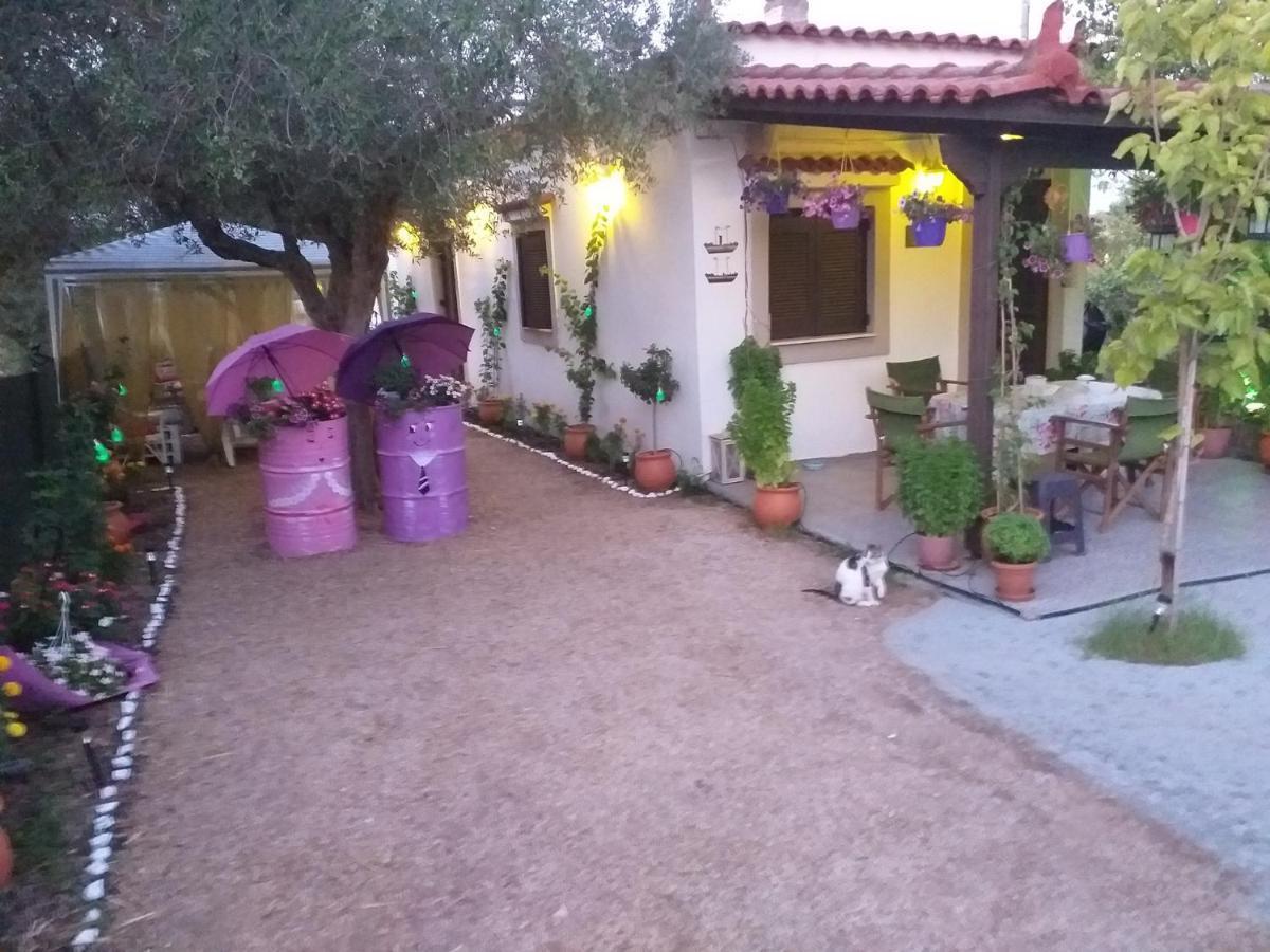 Kastro-Kyllini Luxury Traditional Room The Small Bookstore מראה חיצוני תמונה